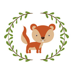Squirrel cartoon icon. Animal cute life and nature theme. Isolated design. Vector illustration