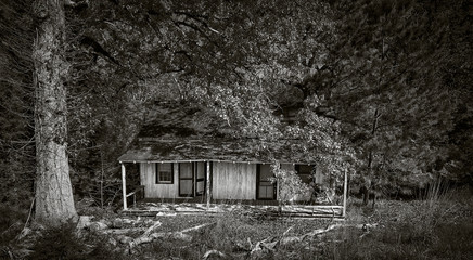 Abandoned SC Farmhouse