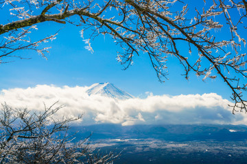 Mountain Fuji with ice coating on the trees