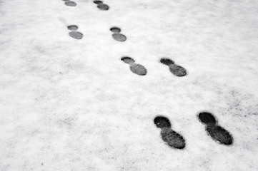 series of footprints extending on snow