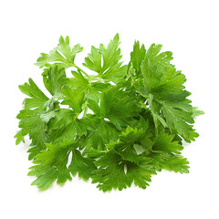 Лист петрушки изолированный на белом фоне