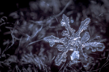 Snowflake #1