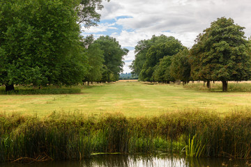 Alley of trees in the English Countryside on a summer's day walk