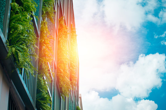 Vertical Garden At The Building Wall With Blue Sky, Modern Office Building Architecture Make Ozone In Modern City.