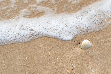 Bubble of Sea wave on sand