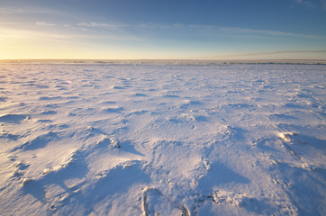 Winter nature landscape