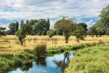 Stream flowing through English Countryside on summers day