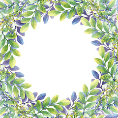 Isolated watercolor frame with white acacia