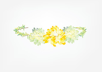 crown flowers set  side way and top isolated on white background,