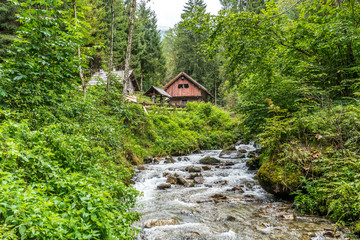 Waldstück mit Holzhütten und Mühlen an einem Wildbach