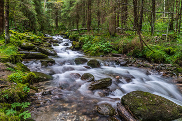 Fototapeta na wymiar Reißender Bach fließt durch einen Wald - aufgenommen mit Langzeitbelichtung