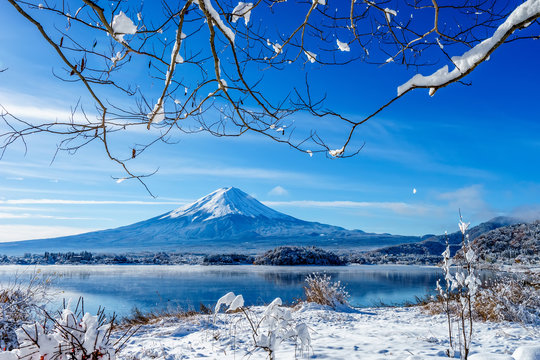 Fototapeta Mt.Fuji at kawaguchi ko lake