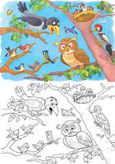Coloring page with cute and funny woodland animals