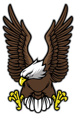 Obraz premium eagle with spreaded wings