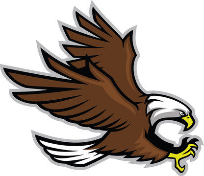 Vector of eagle in sport mascot style