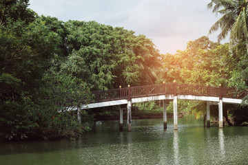 Wood bridge in the forest./Wood bridge.