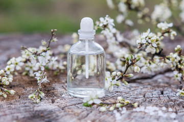 Spa and wellness setting with sea salt, oil essence, flowers and