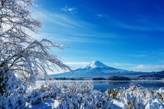 Fototapeta Mt.Fuji at kawaguchi ko lake