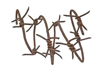 Obraz premium Rusty barbed wire on white background