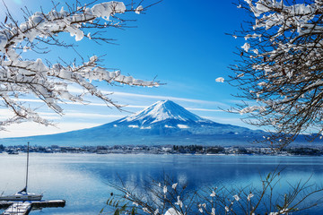 Fototapeta Mt.Fuji at kawaguchi ko lake obraz