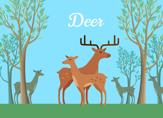 Funny Pair of Deer Illustration
