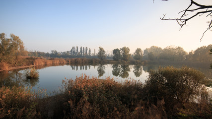 Obraz premium laghetto nel bosco di Vanzago