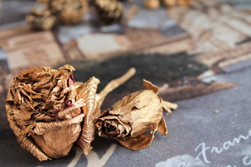 золотые розы, рождество, Фоновый, Текстура