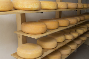 production of smoked cheese
