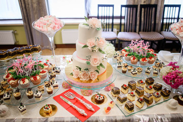 gentle white wedding cake and different sweets on table
