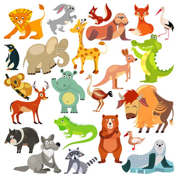 Set of funny animals, birds and reptiles from all over the world. World fauna. For alphabet. Vector illustration