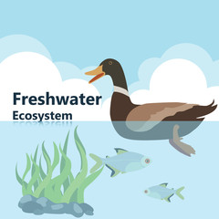 Vector illustrations  Eco style life forest Wildlife. Forest