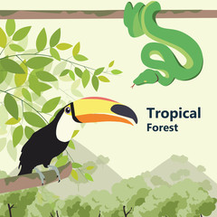 Vector illustrations  Eco style life forest Wildlife. Forest