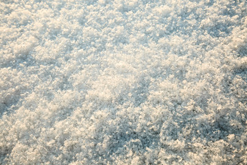 Snow texture background closeup in sunny evening in winter. Selective focus.