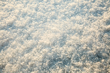 Obraz premium Snow texture background closeup in sunny evening in winter. Selective focus.