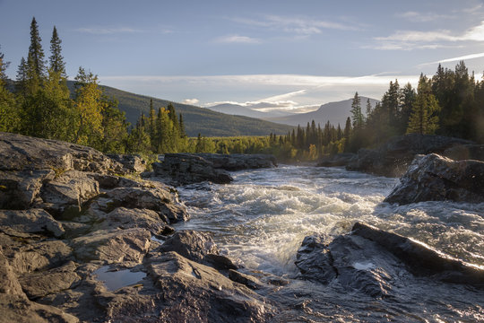 Golden light shining on wild river flowing down the beautiful Swedish landscape