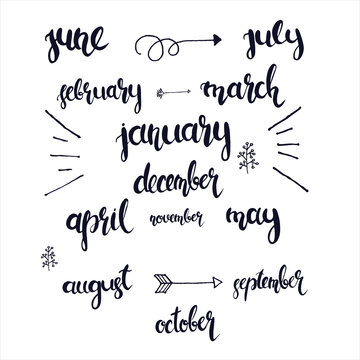 Lettering hand drawn months in the whole year, vector