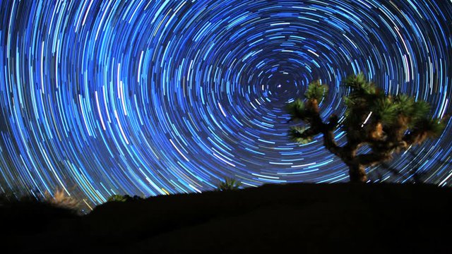 Joshua Tree Night Sky Star Trails Timelapse