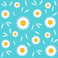 Seamless vector pattern. Floral background. Chamomile.