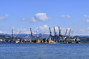 Fototapeta premium La Spezia Harbour
