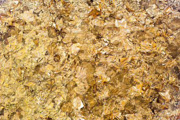 gold leaf on black background for you texture 