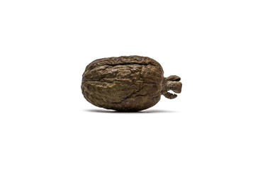 Rotten feijoa fruit