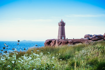 Fototapeta na wymiar Leuchtturm an der Küste/Vegetation und Leuchtturm