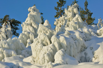 Ice-covered trees.Nature landscape. Ladoga Lake, Karelia, Russia. - 128853380
