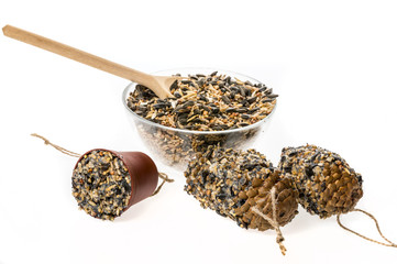 making feeders for birds from seeds