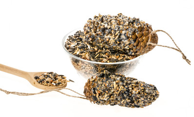 making feeders for birds from seeds and fat