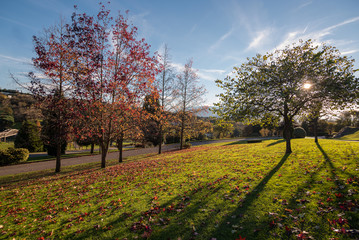 Naklejka premium Winter Park (Parque de Invierno), Oviedo