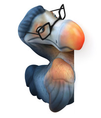 Dodo © Julien Tromeur