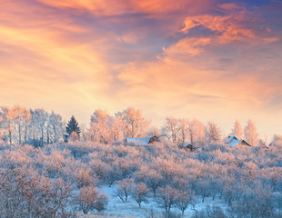 Rural lodges in a winter garden covered with hoarfrost at sunset - 128856534