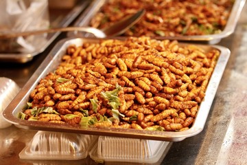 Larve fritte Thailandia 