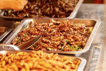 Insetti fritti Thailandia 